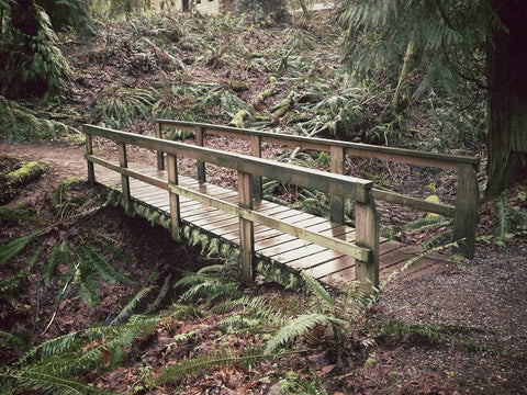 portland oregon tryon creek triple bridge loop