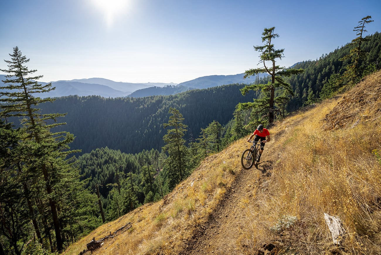 Hardesty MTB Trail in Oakridge Oregon