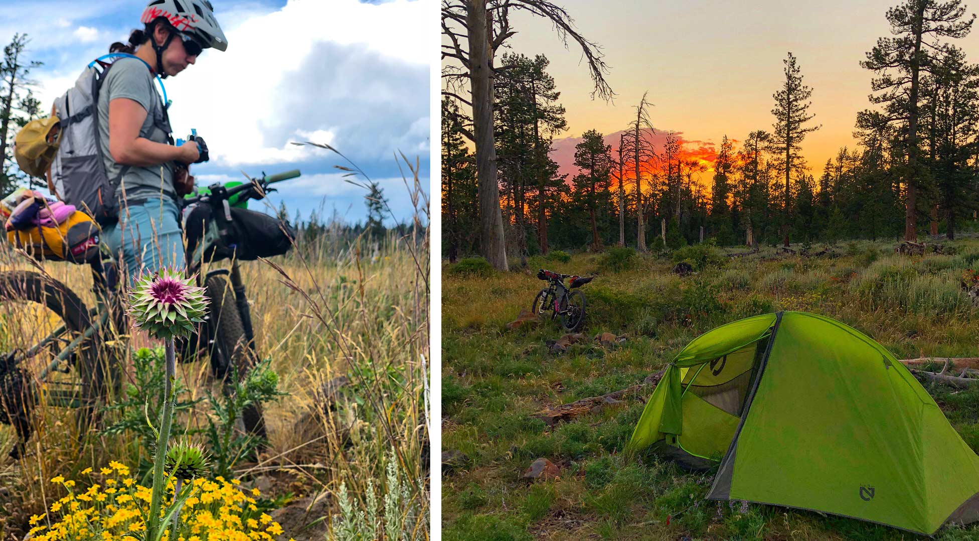 Riding the Oregon Timber Trail and bike packing