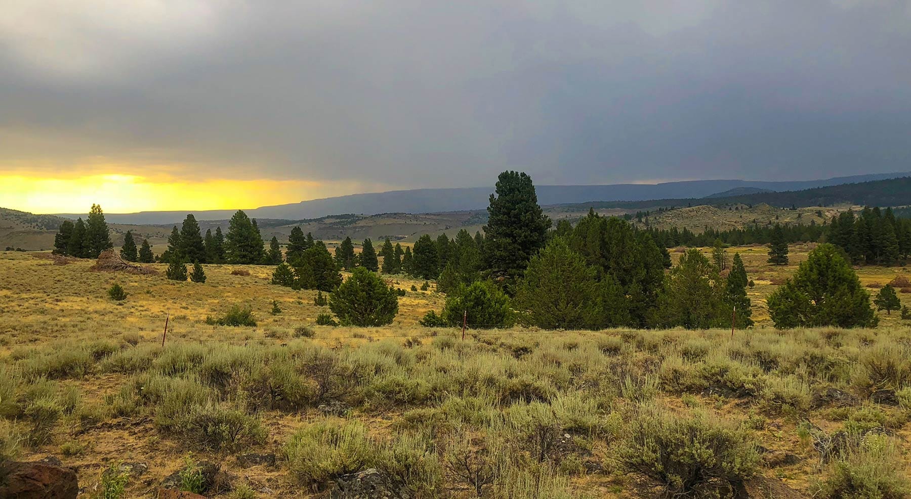 Beautiful views on the Oregon Timber Trail